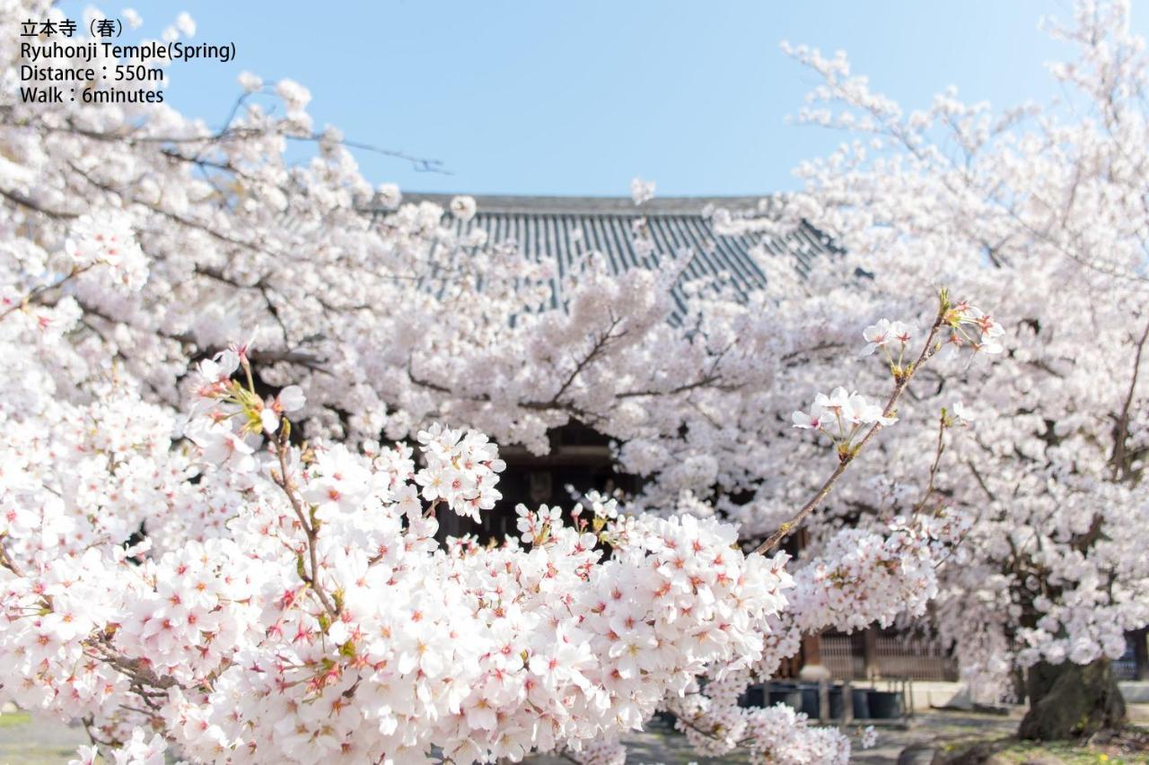 Suzakukan Suzaku Crossing Kyoto Exterior photo Cherry blossoms at the temple